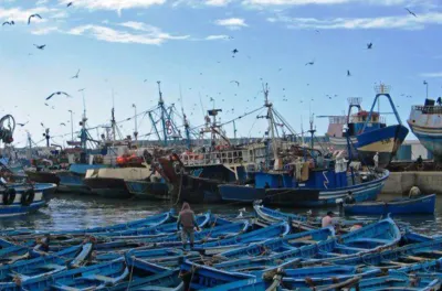 موانئ الواجهة المتوسطية : ارتفاع طفيف في كمية مفرغات الصيد البحري مع متم يوليوز الماضي