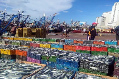 الصيد البحري.. قيمة المنتجات المسوقة بلغت أكثر من 4,81 مليار درهم حتى نهاية يونيو 2025 (المكتب الوطني للصيد)