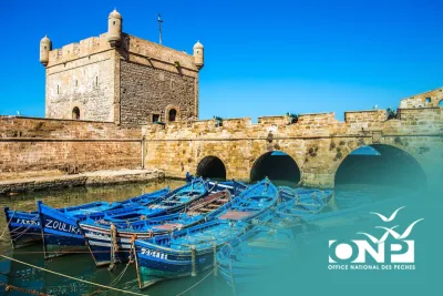 ميناء الصويرة : ارتفاع بنسبة %94 في الكميات المفرغة من منتجات الصيد الساحلي و التقليدي في نهاية شهر ماي