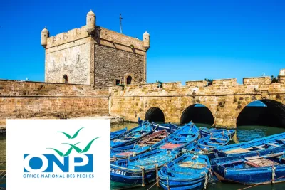 ميناء الصويرة: انخفاض ب40 في المائة في كمية مفرغات الصيد البحري عند متم فبراير 2025 (مكتب)