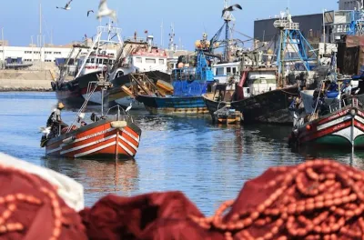 ميناء العرائش .. تراجع بنسبة 20 في المائة في مفرغات الصيد البحري خلال الفصل الأول من العام (تقرير)