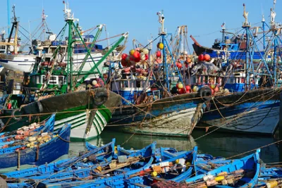 ميناء العيون .. انخفاض مفرغات الصيد الساحلي والتقليدي بنسبة 26 في المائة عند متم ماي الماضي