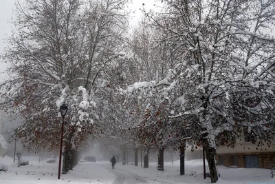 نشرة إنذارية: تساقطات مطرية وثلجية ورياح قوية مرتقبة من الجمعة إلى الأحد بعدد من مناطق المملكة