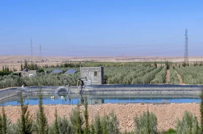 ولاية في شمال نيجيريا تريد تعزيز التعاون مع المغرب في القطاع الفلاحي