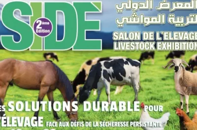 أزمور… انطلاق فعاليات الدورة الثانية للمعرض الدولي لتربية المواشي