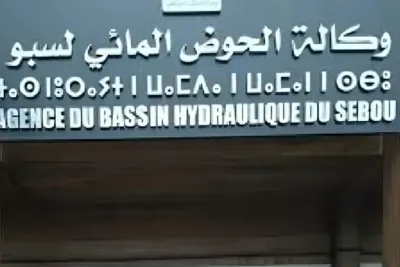 تاونات.. الكمية المنتجة من مادة المرج تفوق 176 ألف متر مكعب في السنة، أي 16 في المائة من إجمالي مخلفات نفايات الزيتون بحوض سبو (مسؤولة)