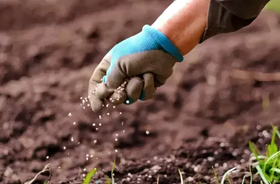 تعطل إمدادات الأسمدة يهدد الأمن الغذائي العالمي (مسؤول أممي)