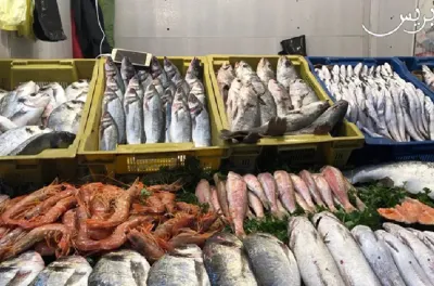 68 سوقا لبيع السمك من أصل 76 تعتمد على الرقمنة (السيدة الدريوش)