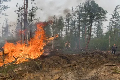 دار الشعر بمراكش تطلق الموسم الخامس لورشات الكتابة الشعرية