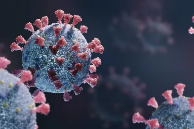 النشرة الوبائية الأسبوعية: 333 إصابة جديدة بكورونا في المغرب