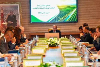 الرباط.. انعقاد مجلس إدارة وكالة التنمية الفلاحية