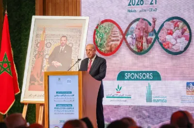 الموسم الفلاحي 2025-2026.. توقع بلوغ محصول الحبوب نحو 90 مليون قنطار (السيد البواري)
