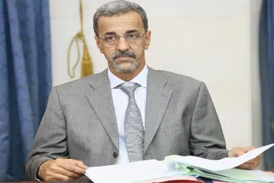 المعادن الحيوية تمثل فرصة "تاريخية" لموريتانيا للاندماج في سلاسل القيمة العالمية (وزير)