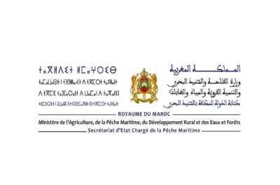 كتابة الدولة المكلفة بالصيد البحري تطلق رقما أخضر لاستقبال شكايات وتظلمات المرتفقين