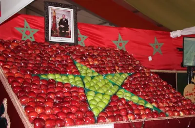 الإنتاج الوطني من التفاح يرتقب أن يناهز مليون طن خلال السنة الجارية (السيد عراش)