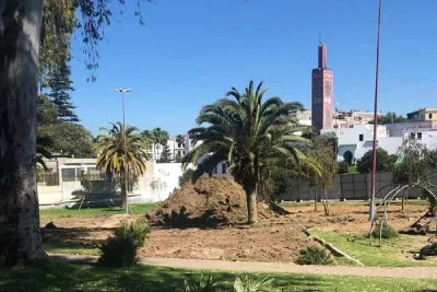 مرصد حماية البيئة والمآثر التاريخية بطنجة يطلق دينامية "طنجة منخفضة الكربون"