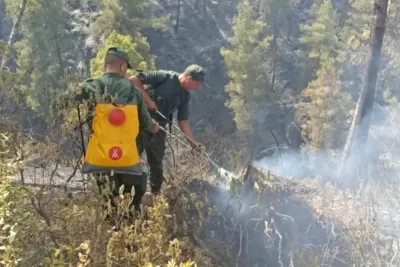 إفران: تعبئة وسائل مهمة لإزاحة الثلوج وفتح المحاور الطرقية بسبب التساقطات الثلجية