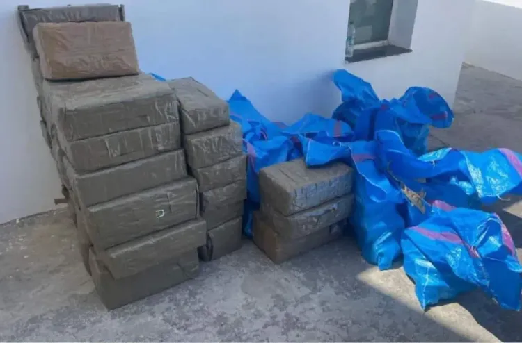آسفي: إجهاض عملية للتهريب الدولي لشحنة من المخدرات تزن طنين و100 كيلوغرام من الشيرا