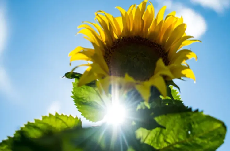 توقعات أحوال الطقس ليوم غد الخميس