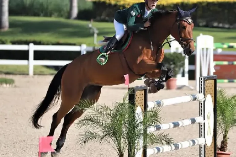 أسبوع الفرس ( 2025 ).. الرقيب آدم الجابري يفوز ببطولة المغرب للكبار -هواة