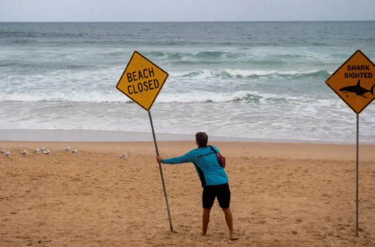 أستراليا..السلطات تغلق شواطئ شمال سيدني بعد هجمات لأسماك القرش