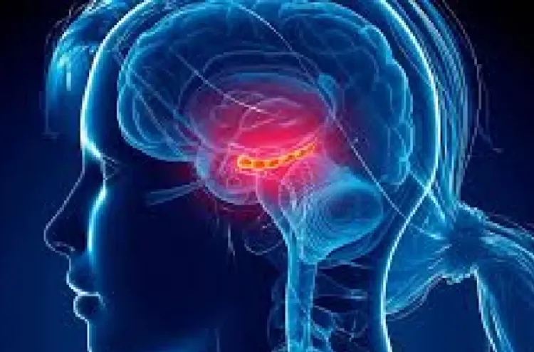 أستراليا.. تطوير أداة ذكاء اصطناعي لكشف تشوهات دماغية دقيقة لدى الأطفال المصابين بالصرع