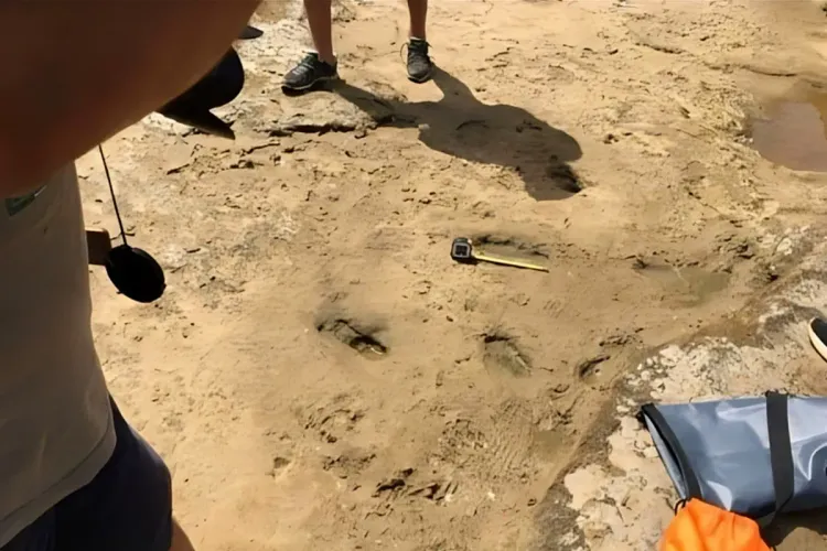 اكتشاف أقدم آثار أقدام بشرية بشمال إفريقيا وجنوب البحر الأبيض المتوسط بالمغرب