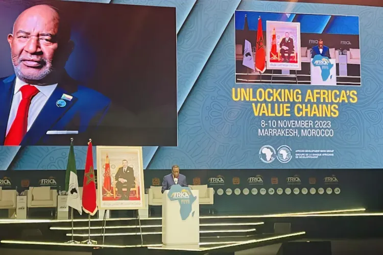 رئيس البنك الإفريقي للتنمية يشيد بصمود المغرب في مواجهة زلزال الحوز