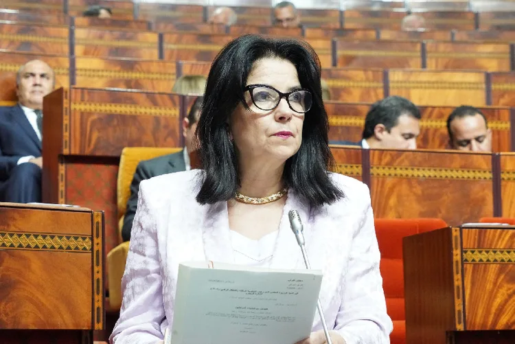 البوابة الوطنية للشكايات.. معالجة 75 في المائة من الشكايات المتوصل بها (السيدة السغروشني)