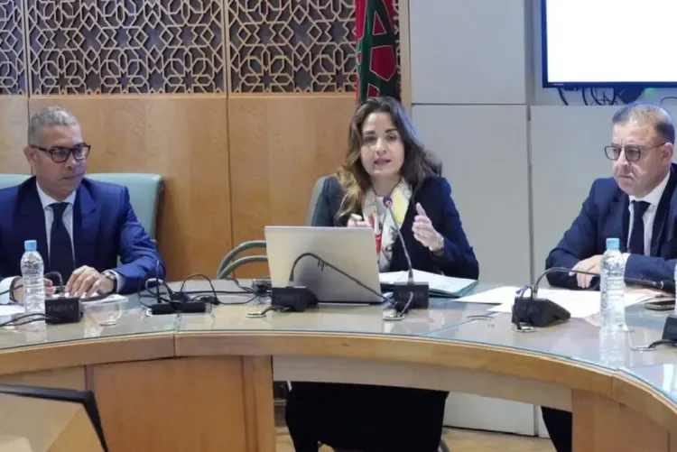 إطلاق طلبات عروض مشاريع في إطار البرنامج الوطني لدعم البحث التنموي والابتكار 2025- 2028