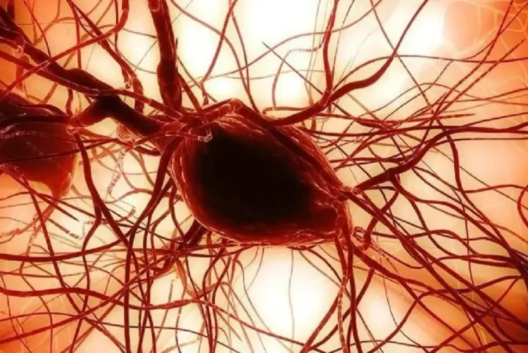 إعادة برمجة خلايا الدم إلى خلايا جذعية مستحثة متعددة القدرات يفتح آفاقا واسعة في مجال العلاج الشخصي والبحث العلمي (صابر بوطيب)