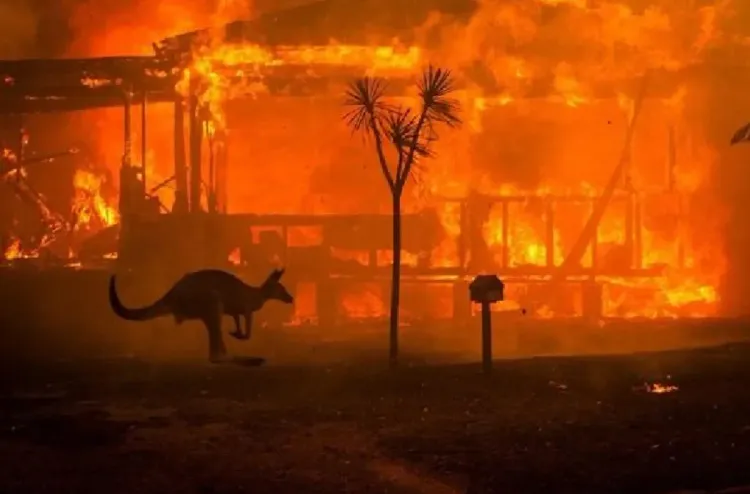 إعلان حالة الكارثة في جنوب شرق أستراليا جراء حرائق حرجية