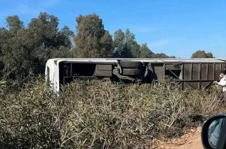 شيشاوة .. جهود متواصلة للحد من الهدر المدرسي بالعالم القروي