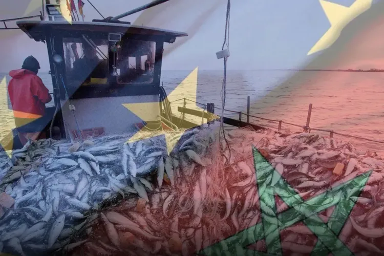 إستدامة الموارد البحرية هدف مشترك للمغرب والاتحاد الأوروبي