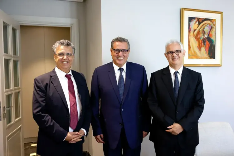 الدعم الاجتماعي المباشر: السيد أخنوش يعقد اجتماعين مع أحزاب الأغلبية وممثلين عن أحزاب من المعارضة