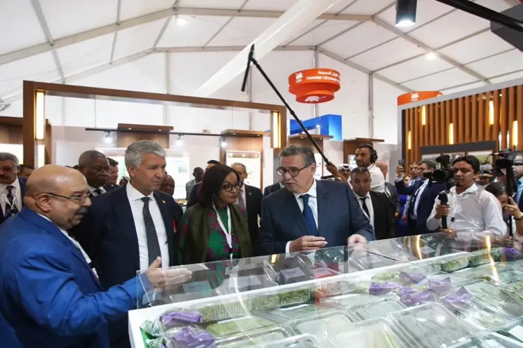 الملتقى الدولي للفلاحة 2023 بالمغرب: رئيس الحكومة يفتتح الدورة ال15 بمكناس