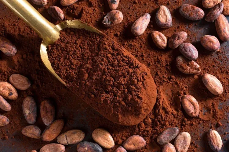 أسعار الكاكاو تتجاوز 10 آلاف دولار للطن لأول مرة في التاريخ