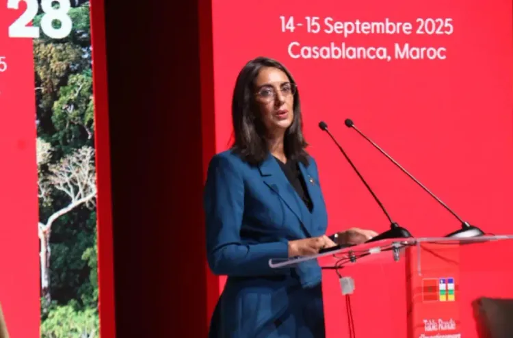 المغرب بقيادة جلالة الملك ملتزم بتعزيز التعاون جنوب-جنوب والتنمية المشتركة في إفريقيا (نادية فتاح)