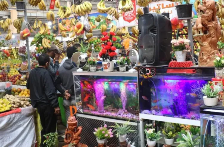 تتبع تموين الأسواق والأسعار خلال شهر رمضان .. إطلاق العمل بالرقم الوطني 5757 لتلقي شكايات وملاحظات المستهلكين