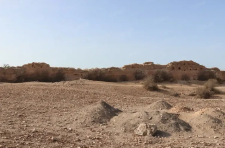 الإعلان عن اكتشافات أثرية بموقع المدينة الغربية بإقليم سيدي بنور (معهد)