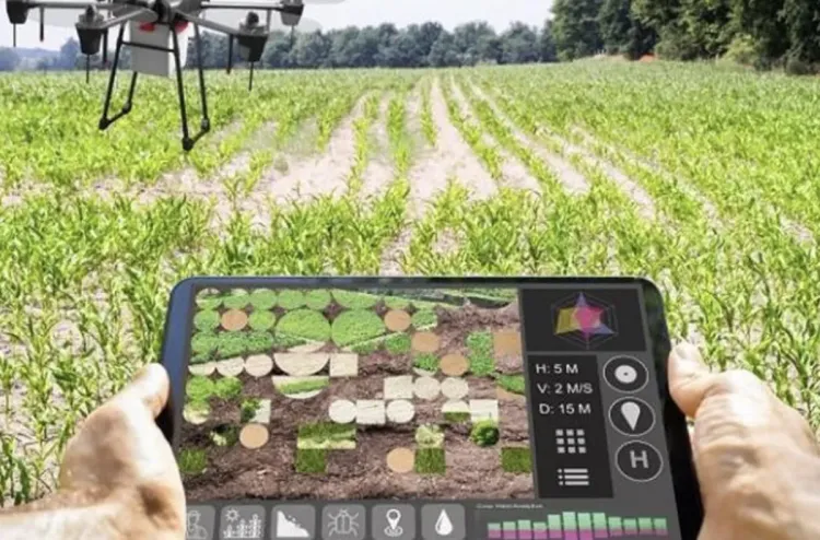 السعودية تنضم لمهمة "الابتكار الزراعي للمناخ" لمكافحة التغير المناخي