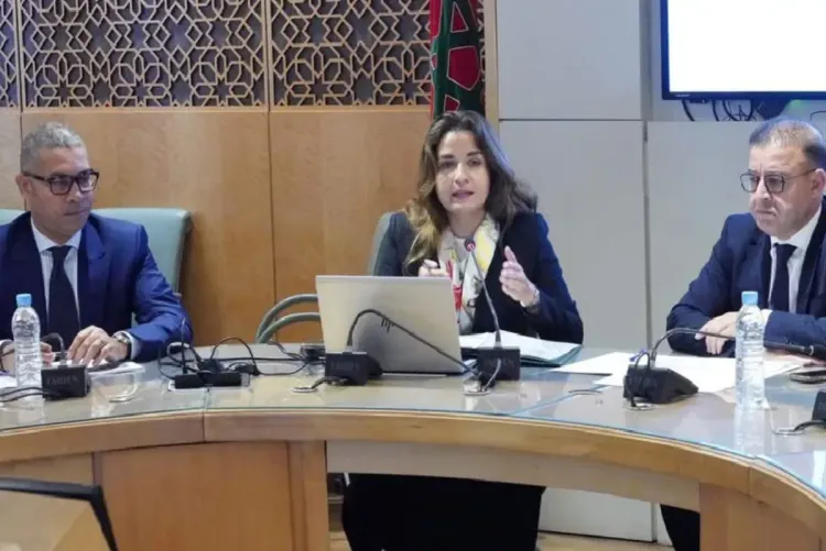 الاستراتيجية الوطنية للتنمية المستدامة 2035 ركيزة أساسية لترسيخ التحول البيئي العادل والمندمج (السيدة بنعلي)