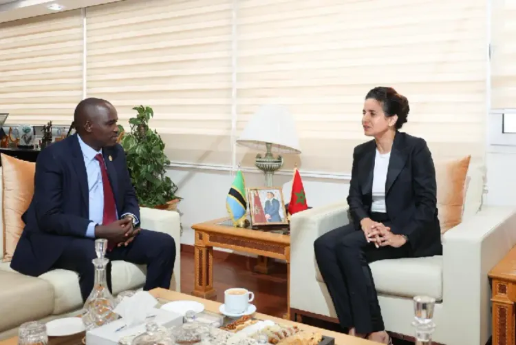 الانتقال الطاقي المستدام : السيدة بنعلي تجري مباحثات مع نظيرها التنزاني