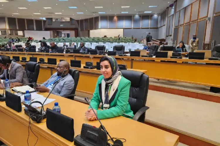 البرلمان الإفريقي .. برلمانيان مغربيان يبرزان جهود المملكة في توطيد التنمية والتعاون بين بلدان القارة لتحصين السلم والأمن