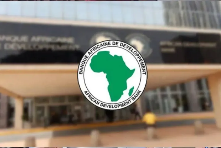 البنك الإفريقي للتنمية: استثمارات جديدة قياسية بقيمة 11 مليار دولار بالنسبة للفترة (2024-2025)