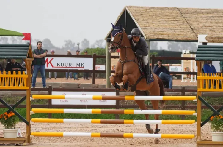 بطولة المغرب للقفز على الحواجز للخيول البربرية والعربية- البربرية: الفرس "البيروتة" يحرز اللقب