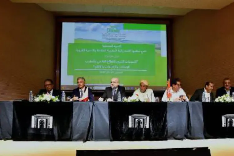 التحديات الكبرى للقطاع الفلاحي محور ندوة في سلا