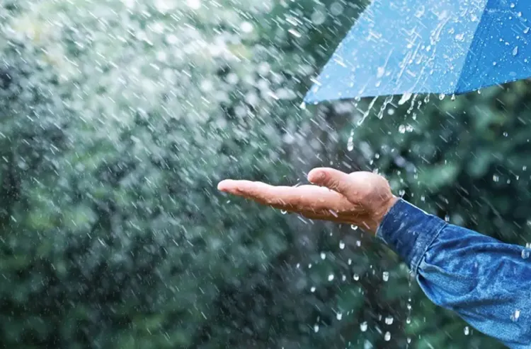 مقاييس الأمطار المسجلة بالمملكة خلال الـ 24 ساعة الماضية