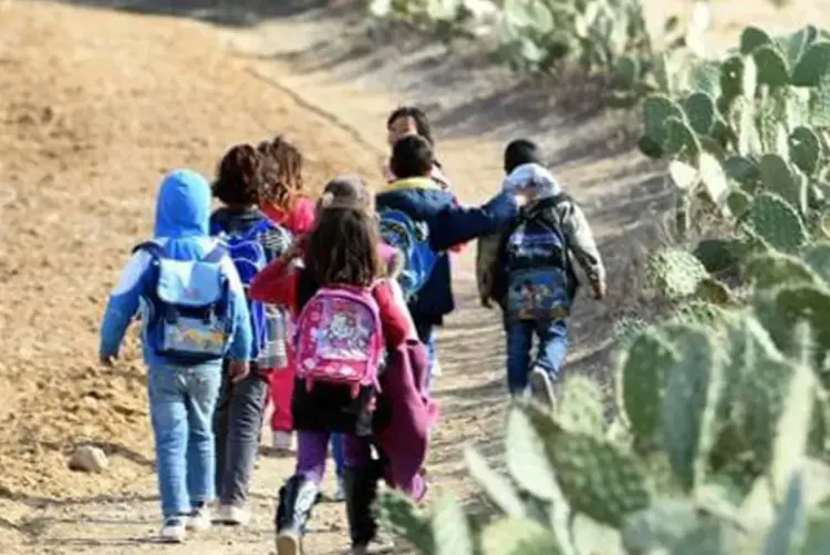 جهود حثيثة لتكريس التعليم الأولي بالعالم القروي : قلعة السراغنة