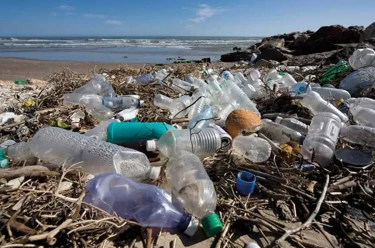 التلوث البلاستيكي.. المفاوضات بشأن اتفاق ستتواصل خلال 2025 (الأمم المتحدة)